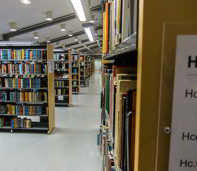 Rows of books