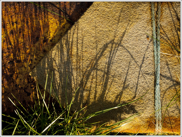 shadows in the harbour