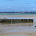 En allant vers Cancale, baie du Mont-Saint-Michel (Ille-et-Vilaine, France)