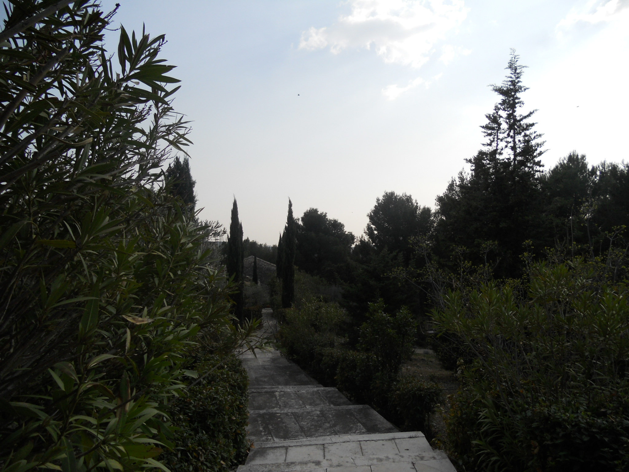 the path down to the house from the pool