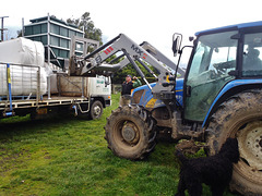 our new Bulka Bin arrives