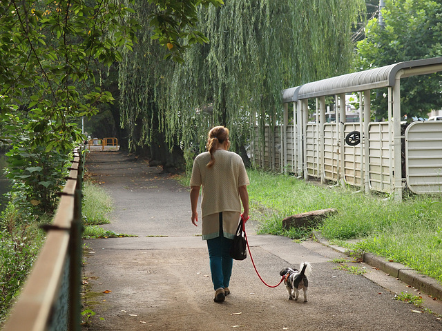 A woman walking with her dog