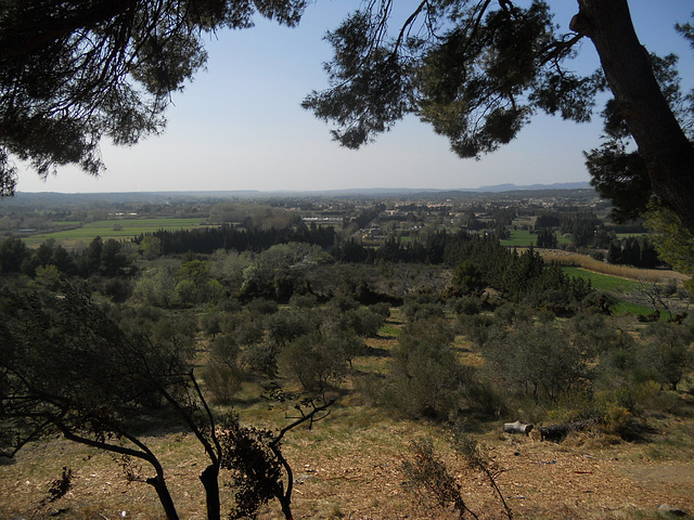 The sothern planes of the Alpilles