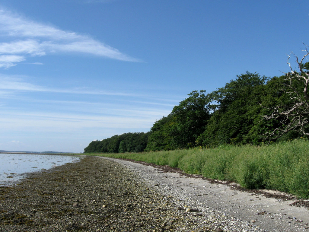 Another Walk on the Beach...