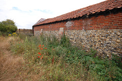 Dukes Farm, Bungay, Suffolk  (84)