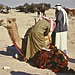 Dressing the camel