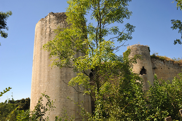 Château du Coudray-Salbart