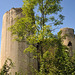 Château du Coudray-Salbart