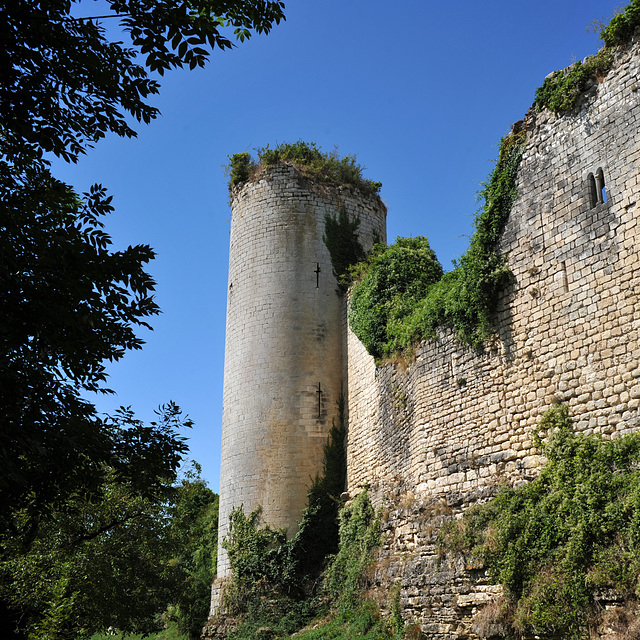 Château du Coudray-Salbart