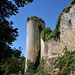 Château du Coudray-Salbart