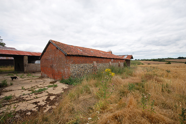 Dukes Farm, Bungay, Suffolk  (88)