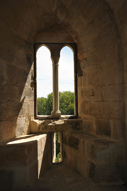 Fenêtre à coussièges du Château du Coudray-Salbart