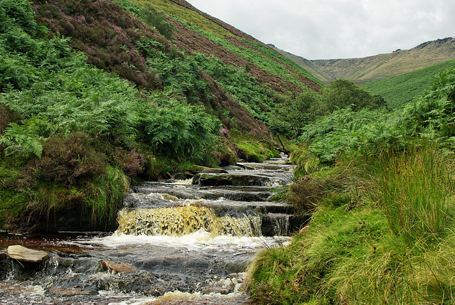 The lower cascades on Fair Brook