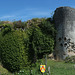 Château du Coudray-Salbart