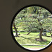 Ventana redonda del Jardín Japonés de Buenos Aires