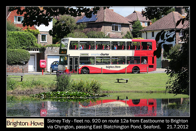 Brighton & Hove Buses - Sidney Tidy - fleet no. 920 - East Blatchington Pond - 21.7.2012