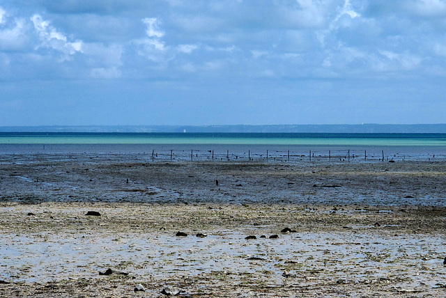 En allant vers Cancale, baie du Mont-Saint-Michel (Ille-et-Vilaine, France)