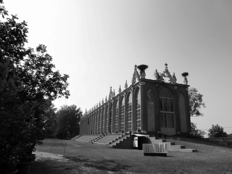 Una serra maestosa - royal hot green house