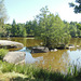 Lageto rande de la naturparko Blockheide