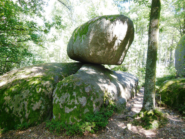 Unu el ŝancelŝtonoj en la naturparko Blockheide