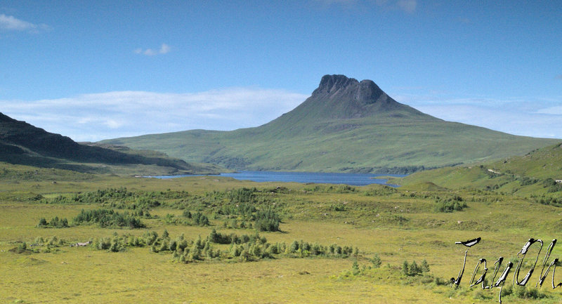 Looking Across Coigach Forest and Loch Lurgainn to Stac Pollaidh