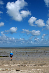 En allant vers Cancale, baie du Mont-Saint-Michel (Ille-et-Vilaine, France)