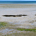 En allant vers Cancale, baie du Mont-Saint-Michel (Ille-et-Vilaine, France)