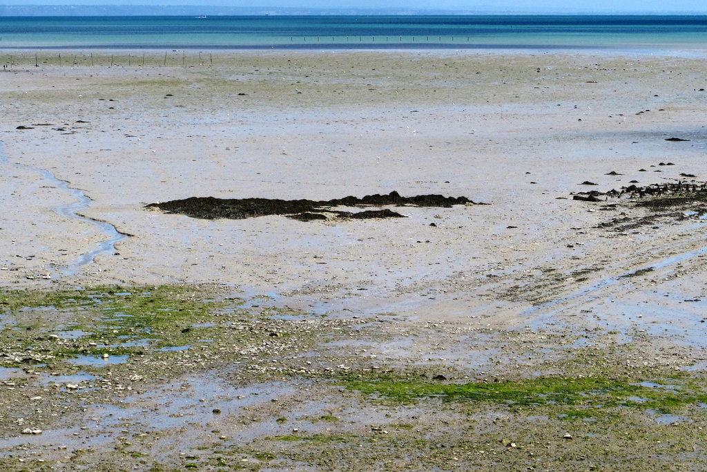 En allant vers Cancale, baie du Mont-Saint-Michel (Ille-et-Vilaine, France)