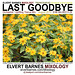 CDCover.LastGoodbye.Trance.SummerEnd.August2013
