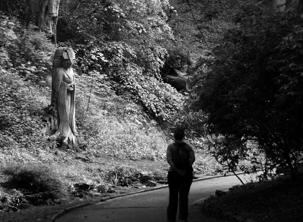 The Watcher in the Woods