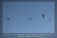 Gull vs Chinooks x3 - 17.12.2012