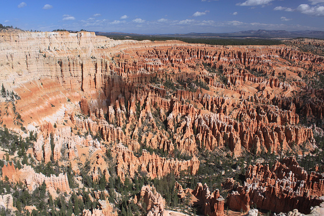 Bryce Canyon hoodoos