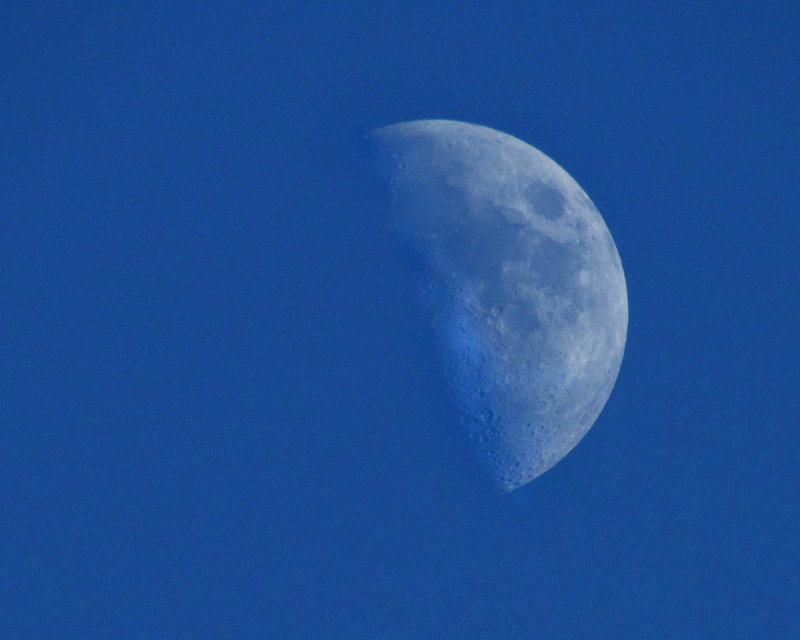 Daytime Moon