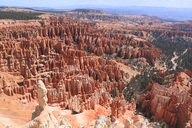 Bryce Canyon landscape