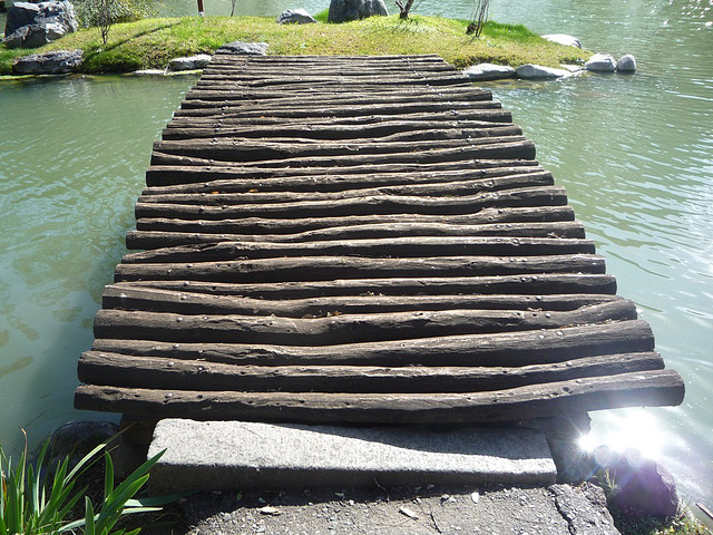 Puente de delgados troncos