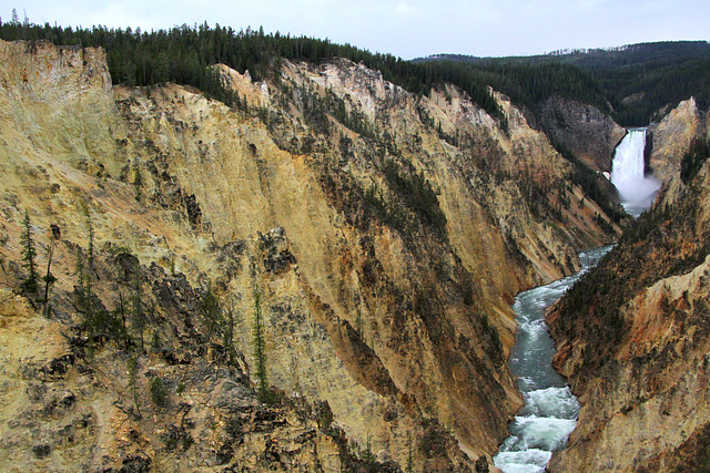 Grand Canyon of the Yellowstone