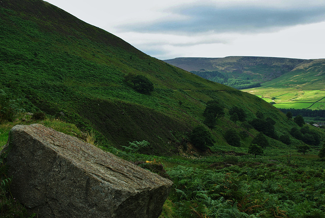 Torside Clough