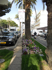 Cannes, missed the Shopping Fair with a mere week.