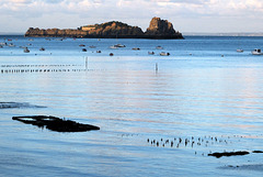 Cancale, baie du Mont-Saint-Michel (Ille-et-Vilaine, France)