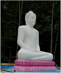 Samadhi Buddha