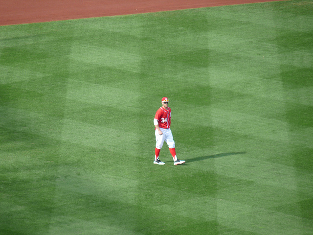 Bryce Harper