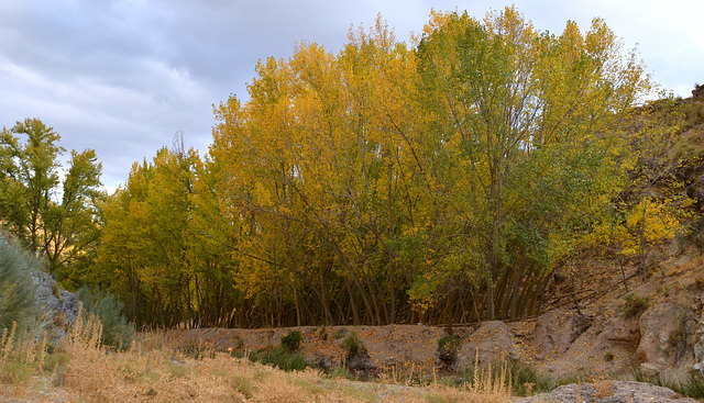 Dolmen Hike