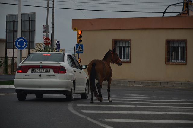 Carboneras