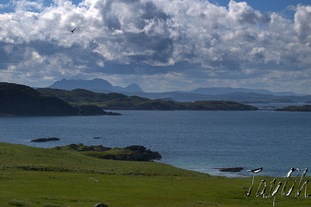 Looking South From Handa Island