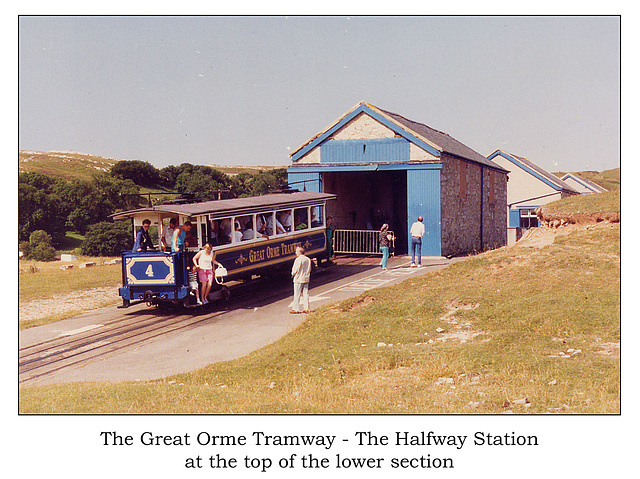 Great Orme Tramway No4 at the Halfway Station