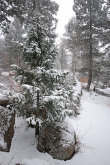 Snow and Rocks