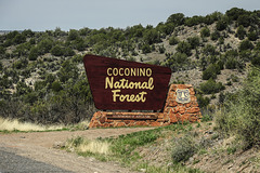 COCONINO