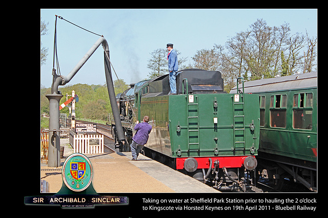 Sir Archibald Sinclair  taking water - Sheffield Park - 19.4.2011