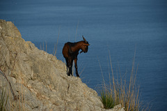 Hike to the Beach