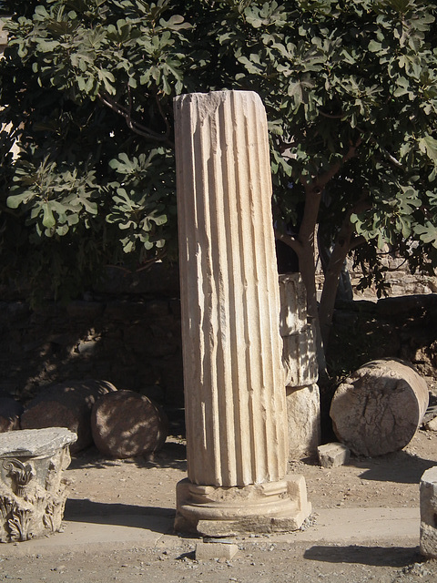DSCF2962
